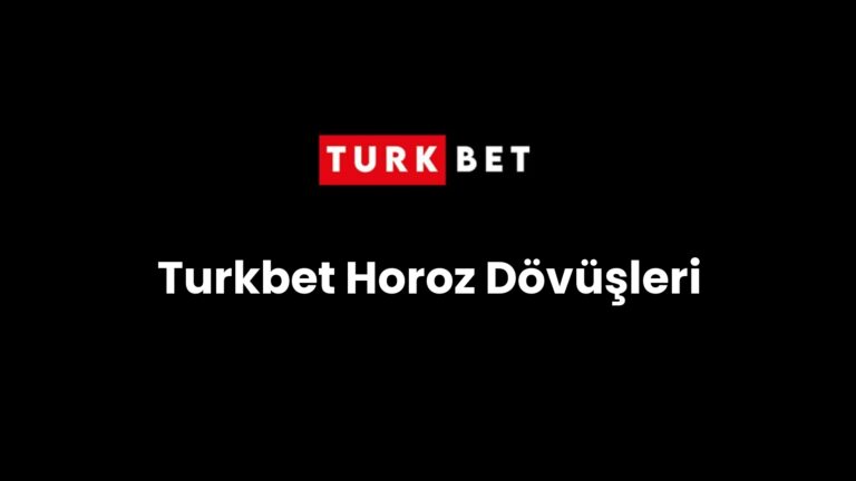 turkbet horoz dovusleri 208